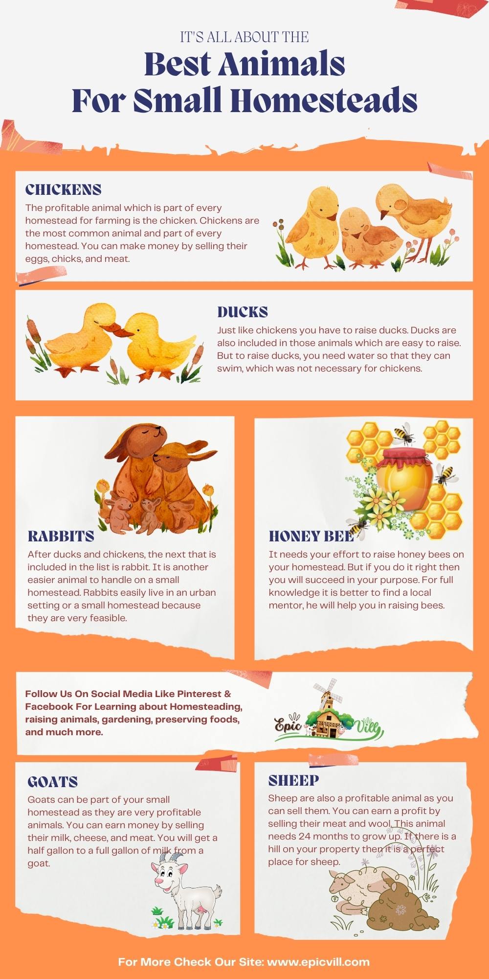 Best Animals For Small Homesteads inforgraphic