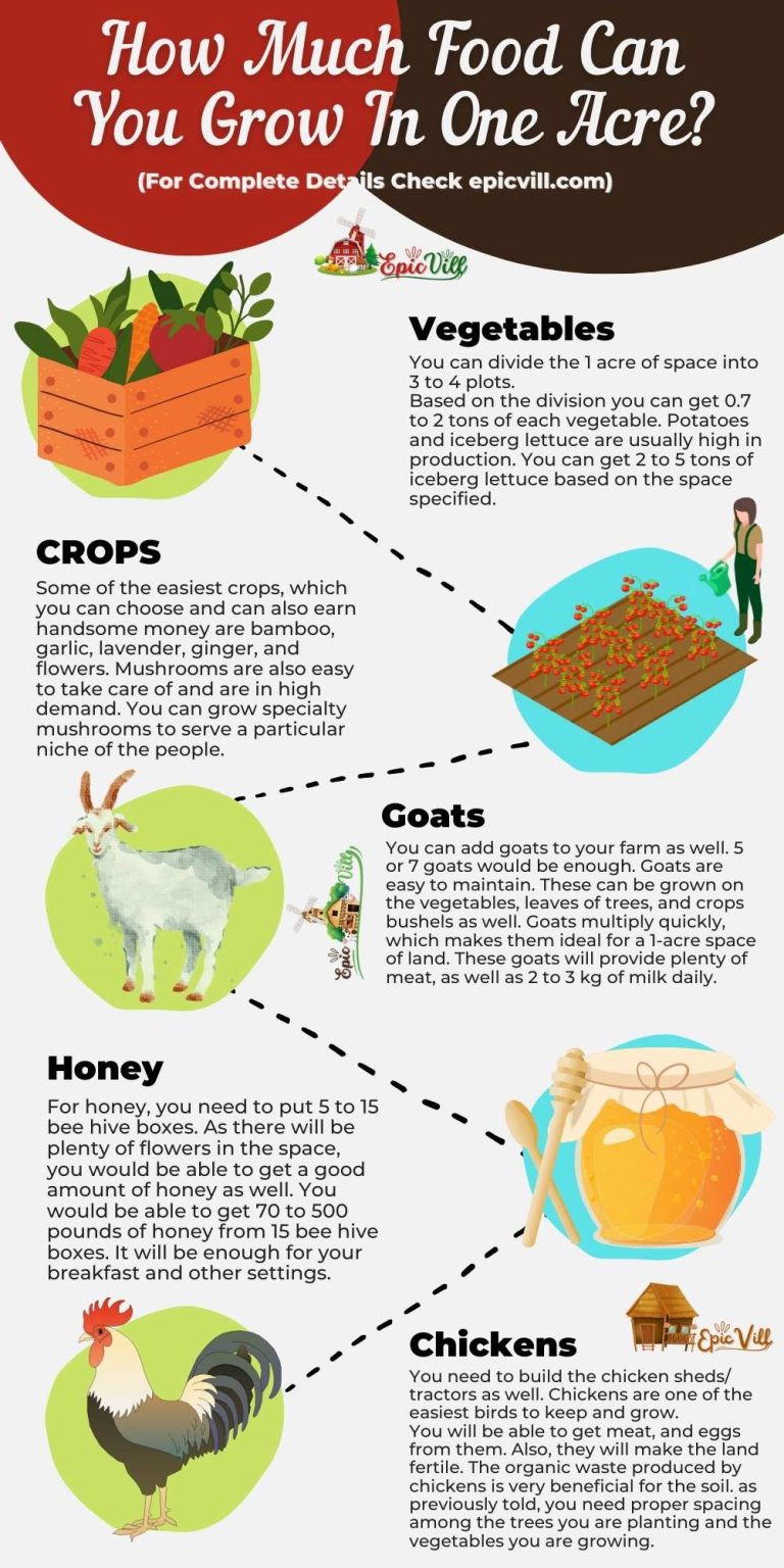 How Much Food Can You Grow In One Acre? Epic Vill