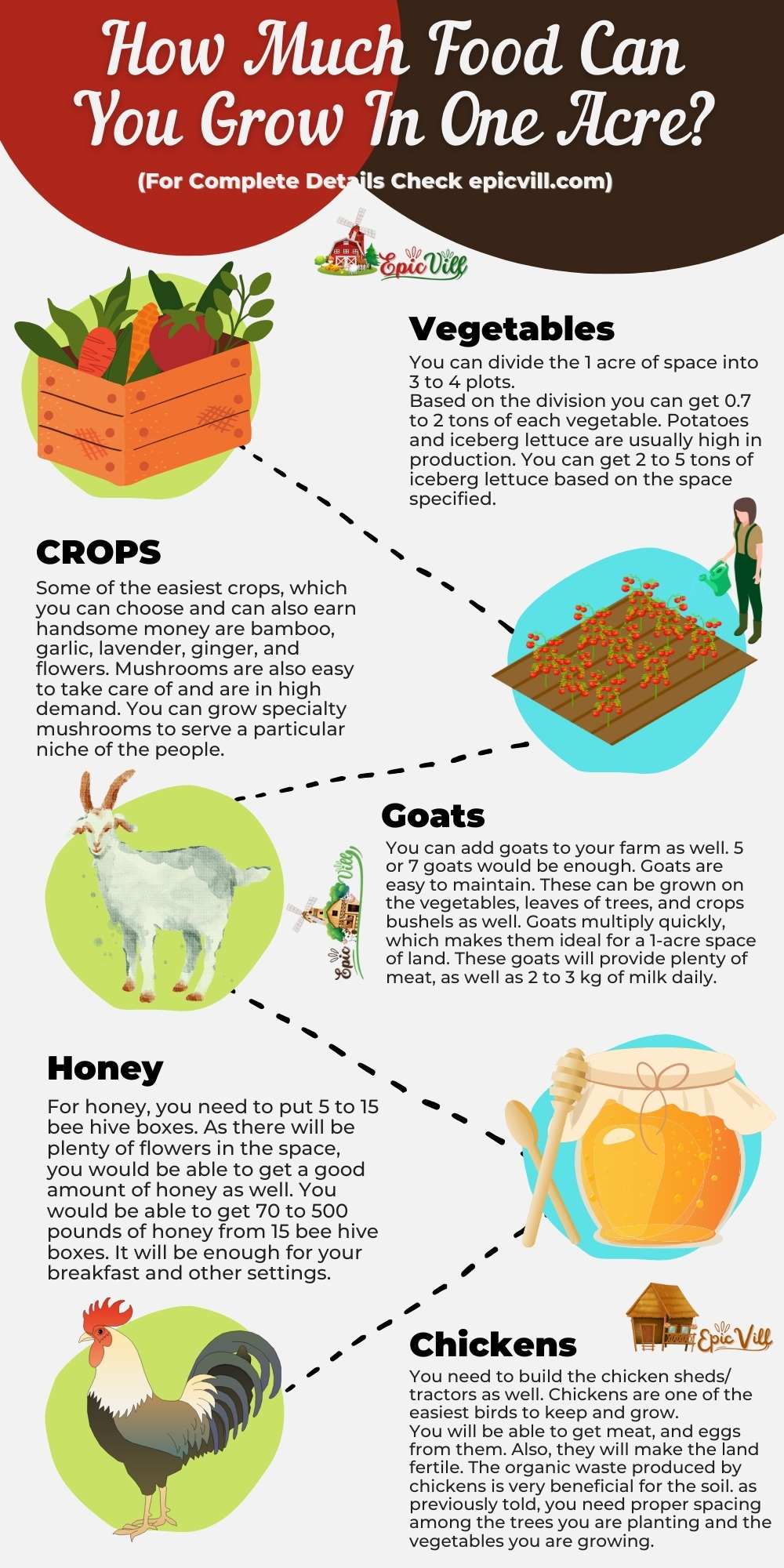 How Much Food Can You Grow In One Acre?