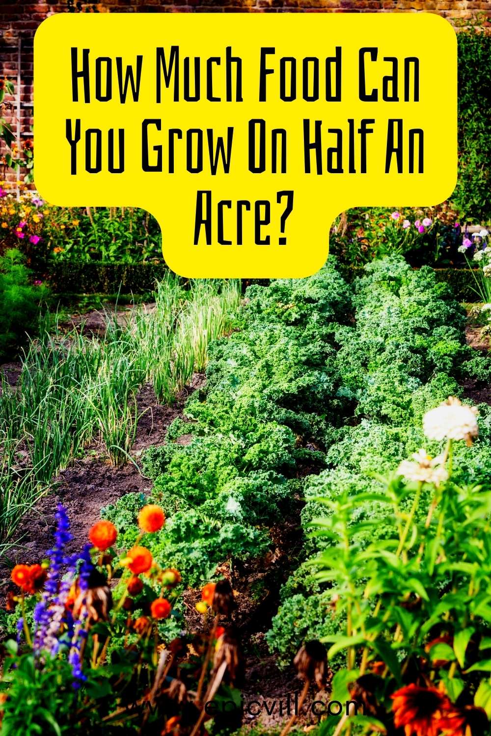 How Much Food Can You Grow On Half An Acre Epic Vill